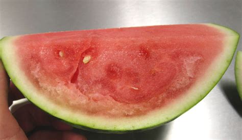 watermelons internal discoloration international produce training