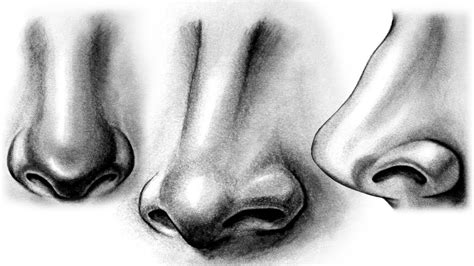 How To Draw a Nose | Realistic Nose |Side View Nose | step by step ...