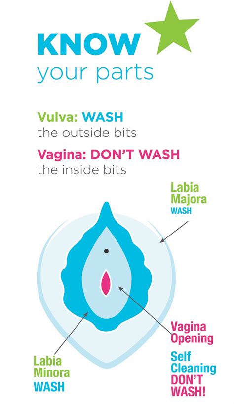 Washing Your Lady Bits Vagina And Vulva The Facts Is My Vagina Normal?