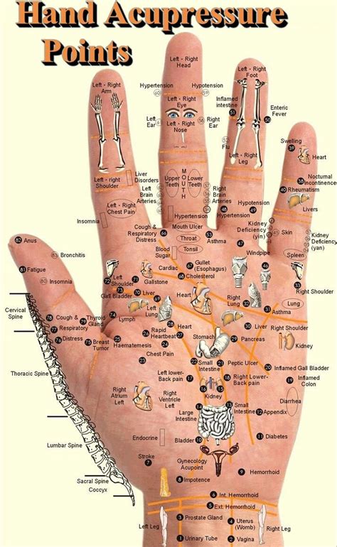 hand acupressure points pictures   images  facebook