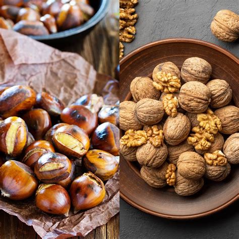 Chestnut vs Walnut - Health Guide Net