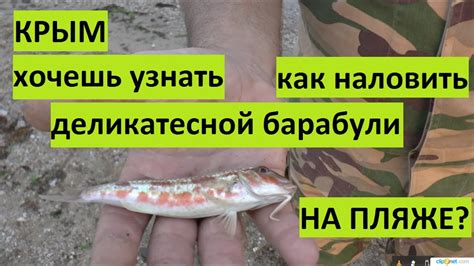 Крым. Рыбалка на барабулю на пляже. - YouTube