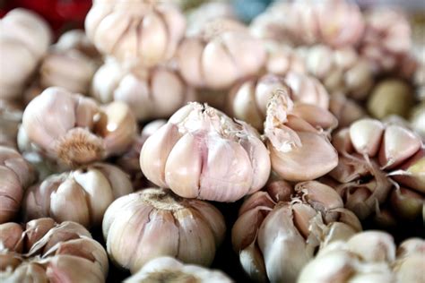 tak  turunkan tensi  sederet manfaat menakjubkan bawang putih