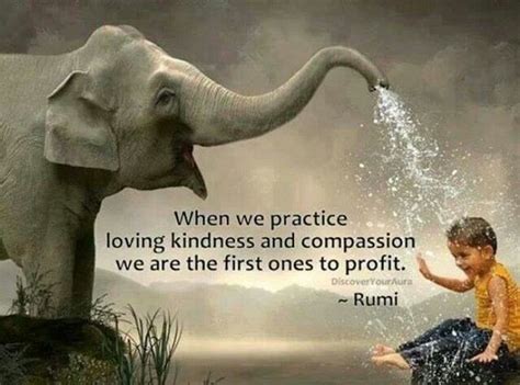 kindness