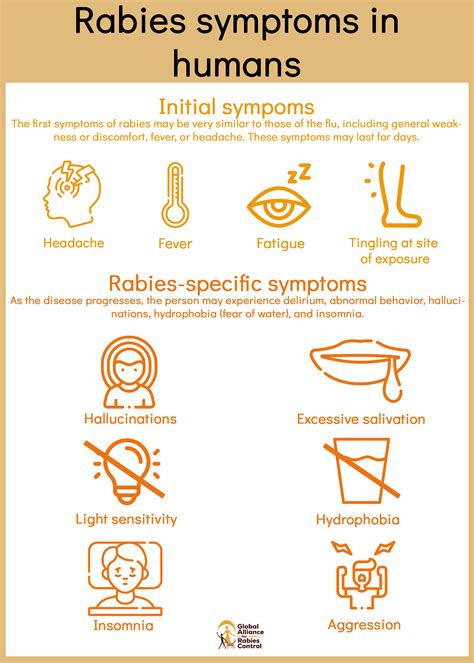 how to tell if a dog has rabies 6