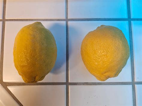 My lemon tree produces fruit year-round. I love seeing Yellow, green