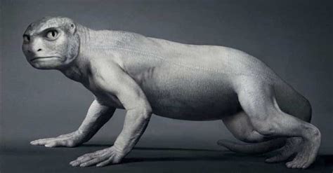 characteristics   realized humans inherited  fish