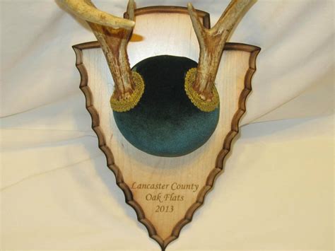 deer antler mounting kit etsy
