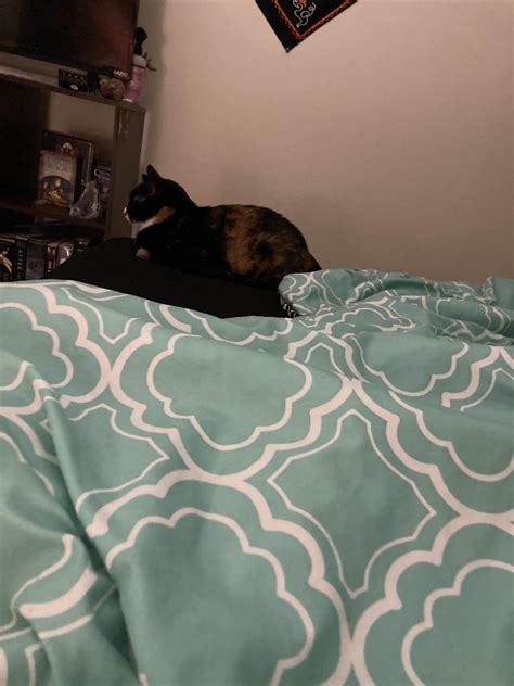 Drunk on vodka with my buddy while my gf is sleeping next to me. Good