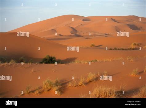 Morocco, Sahara, Erg Chebbi sand dunes Stock Photo - Alamy