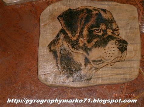 Pyrographymarko: PAS slika 1.