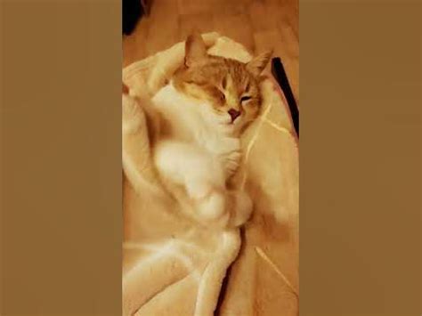 моё 💗💘💖🎇🎆💌🎉🎊 - YouTube