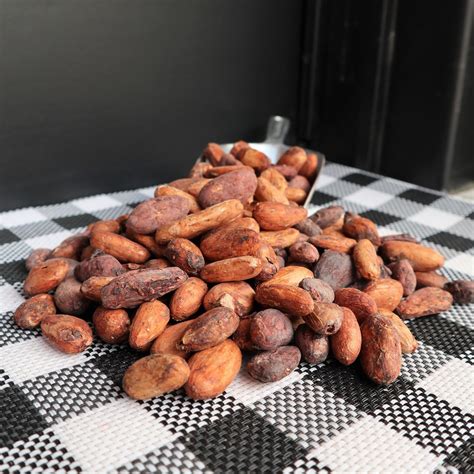 Cacao beans