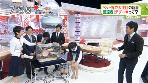 あさチャン！水曜日★宇垣美里 佐藤渚 専用 宇垣のナチュラルストッキングがエロい - 実況スレ