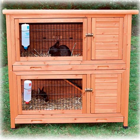 The Rabbit Hutch Club Questions 7