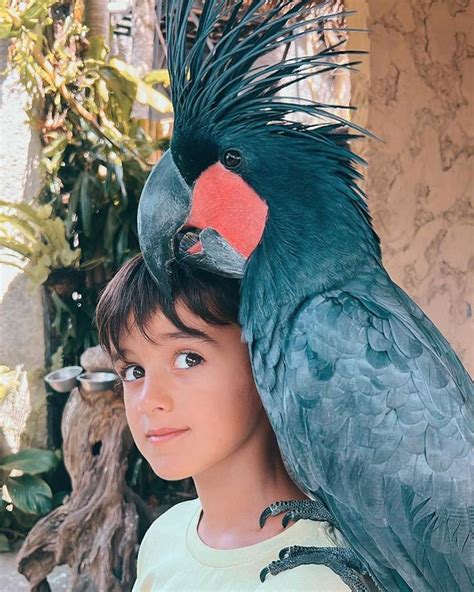 The Best Zoo in Bali 2025