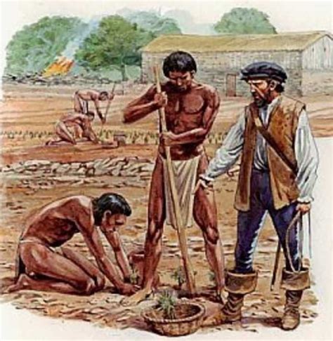 Encomienda E Mita - Encomienda: História E Características – KLFBYO