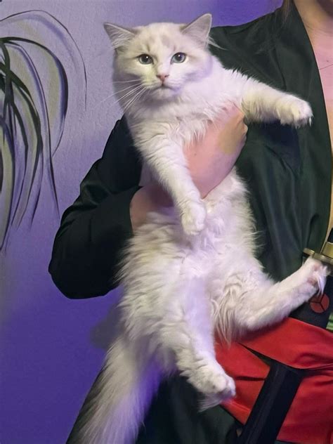 desiluted (u/Desiluted) - Reddit