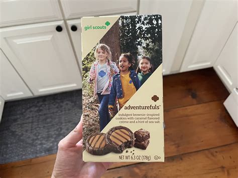 Girl Scout Cafe Cookies These Girl Scout Cookie™ Inspired Chameleon