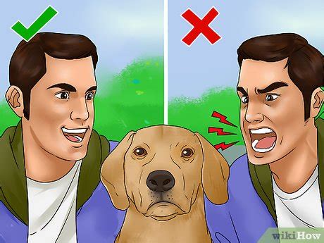 how do i make my dog listen to me