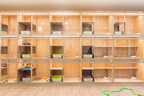 Nekoya Cat Hotel and Cat Sitting Singapore - Nekoya Cat Sitting ...