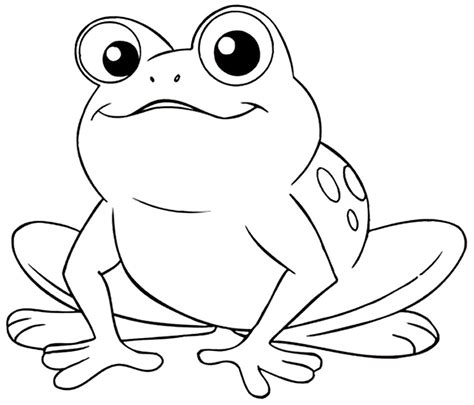 Imagem Sapo Para Colorir