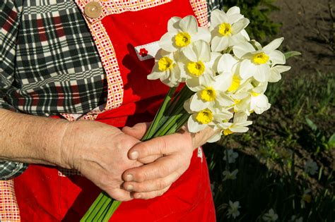 Flexible Home Care - Is it time for a spring clean? - Vitale Care