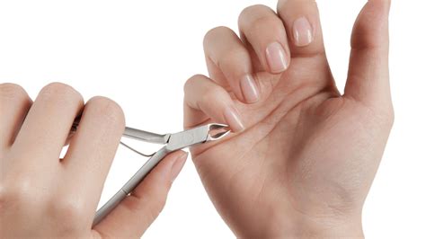 How Often to Cut Nails for Healthy and Gorgeous Hands