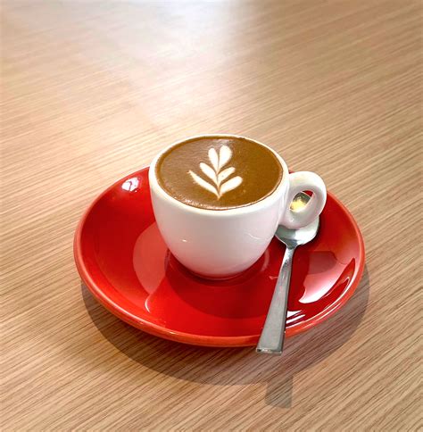 Caffe Macchiato | Brawn & Brains Coffee