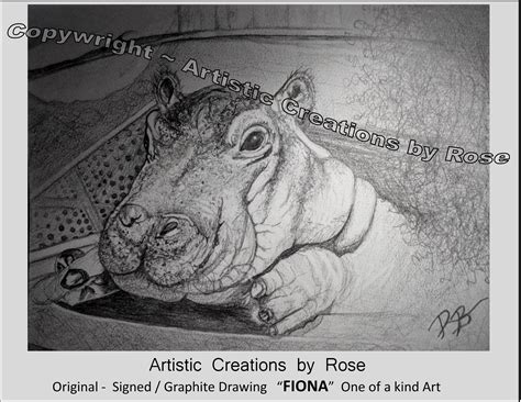 Celebrate Fiona the hippo's birthday - Cincinnati Zoo - Art - gift