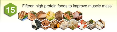 15 foods high in protein for bodybuilders - tonvara.net