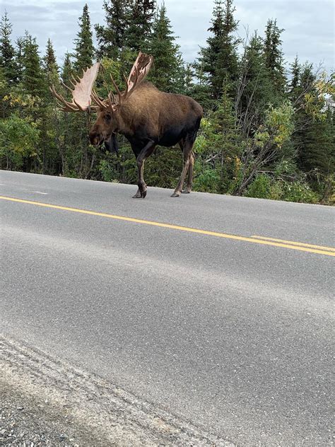 386 best Denali Alaska images on Pholder | Earth Porn, Alaska and Pics