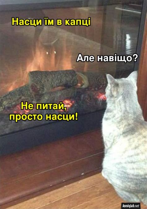 Українські приколи | Funny, Humor, Fun