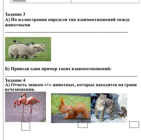 По иллюстрации определи тип взаимоотношений между животными - Школьные ...