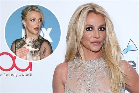 How Many Dogs Does Britney Spears Have? Star's Pooch Reportedly Bites