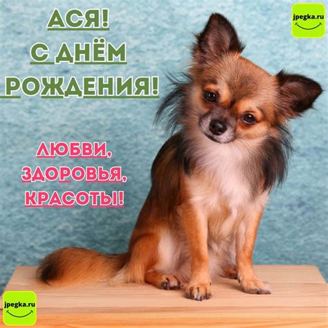 Открытки «С Днём Рождения, Ася»: 50 картинок