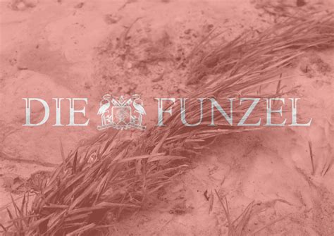 Shop - DIE FUNZEL