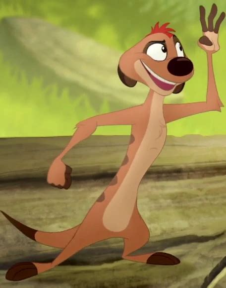 Timon | The Lion King: Revisited Wiki | Fandom