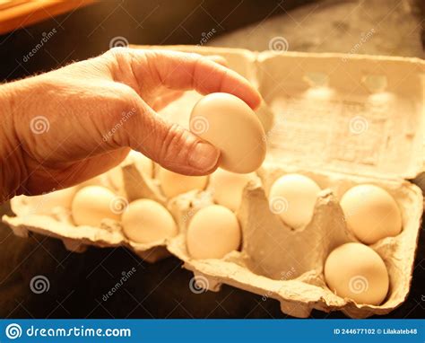 BANTAM CHICKEN EGGS stock photo. Image of shades, chickens - 244677102