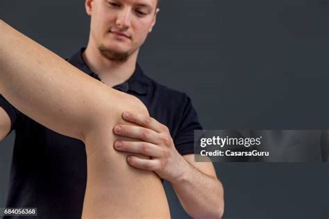 leg anatomy stock  high res pictures  images