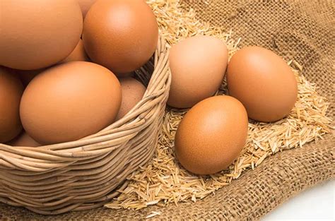 ketahui perbedaan telur biasa  telur omega