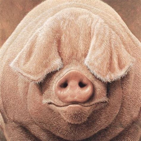 All animals are equal. but some Animals are more equal than others ...