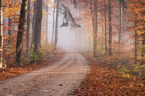 fall pictures   hd images   phone desktop