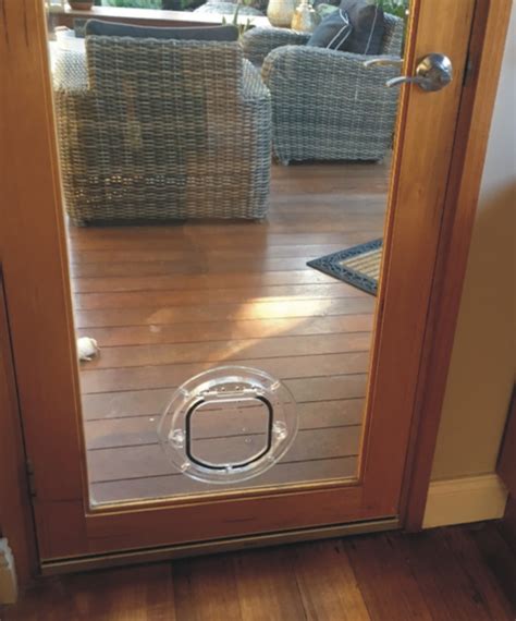 Dog Doors For Glass Doors: The Perfect Solution For Pet Owners - Glass