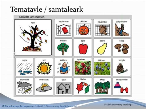 PPT - ALTERNATIV OG SUPPLERENDE KOMMUNIKASJON PowerPoint Presentation