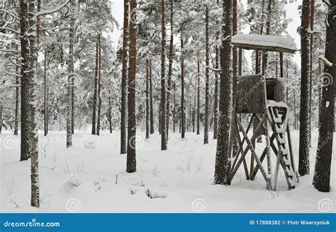 Winter Hunting Stock Photography - Image: 17888382