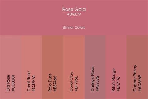 rose gold hex code shades  design ideas picsart blog rose