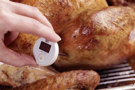 How to Check the Temperature of a Turkey