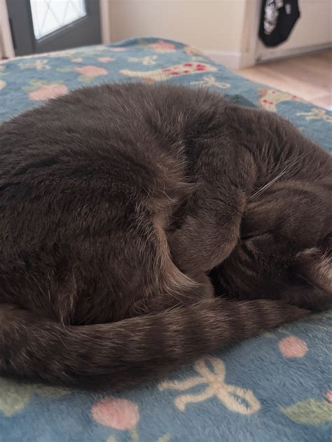 Nikki Perez - Nikki Perez added a new photo.