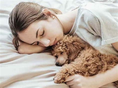 cuddle pictures wallpaperscom